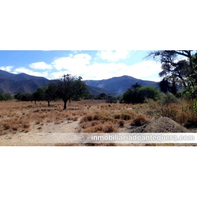 Terreno en venta en Teotitlán de Flores Magón