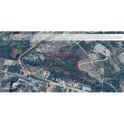 Terreno en venta en Teotitlán de Flores Magón