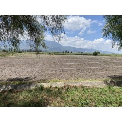 Venta de terreno en Tlacolula Oaxaca