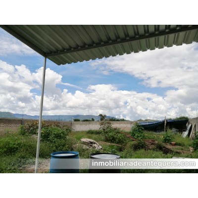 Venta de terreno en Tlacolula de Matamoros Oaxaca